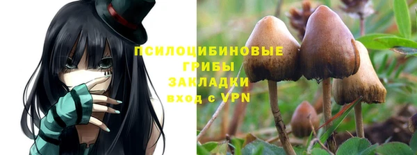 синтетический гашиш Богородск