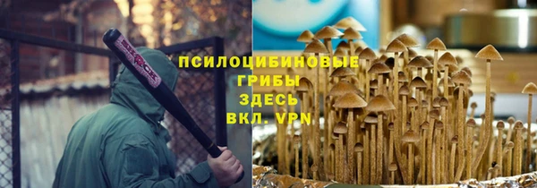синтетический гашиш Богородск